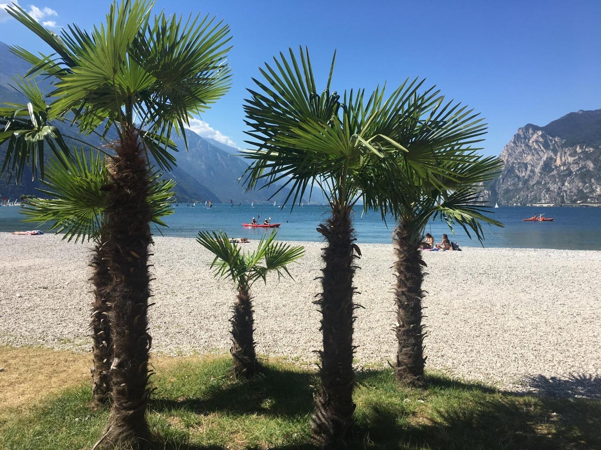 Outdooredo Garda Torbole Torbole Sul Garda Exterior foto